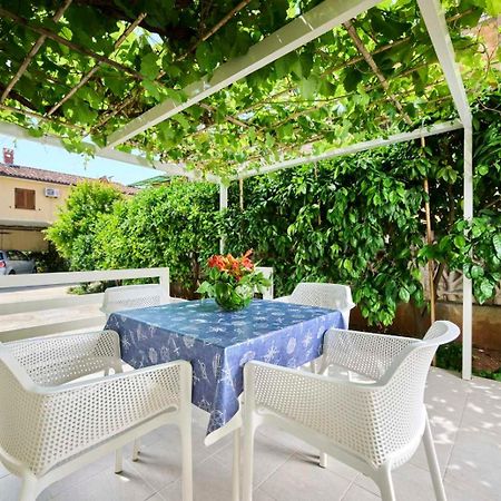 Apartman Ema Novigrad Istria Extérieur photo