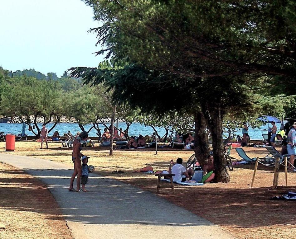 Apartman Ema Novigrad Istria Extérieur photo